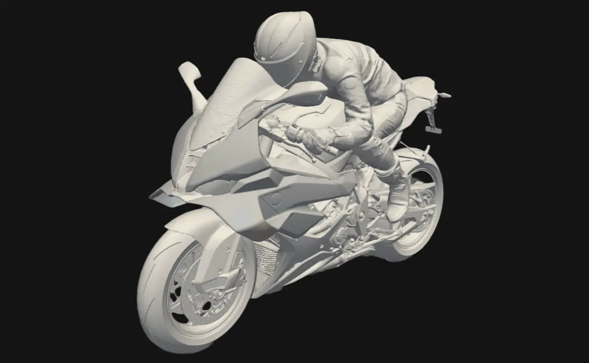 BMW S1000 RR - Front Wing
